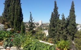 Living In Jerusalem – Where Old Meets New