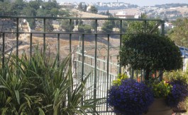 renovated house for rent in abu tor