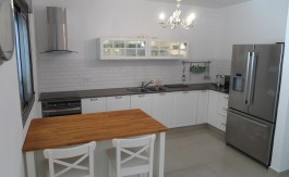 Rental in Gershon Avner St